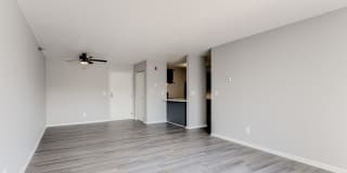 White Pines Gallery 28