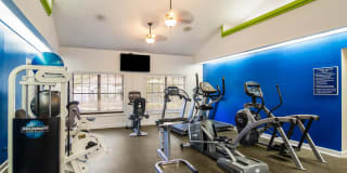 St. Johns Forest Gallery 12