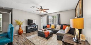 Oxford Oaks Gallery 3