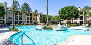 Sola Westchase Gallery 9