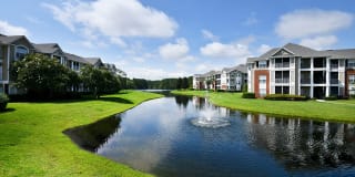 54 Magnolia Gallery 22