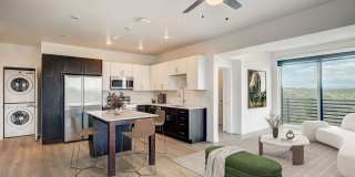 Vine at Panorama Gallery 18