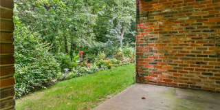 4413 Laurel Oak Dr Gallery 21