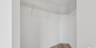 The Tropic Gallery 15