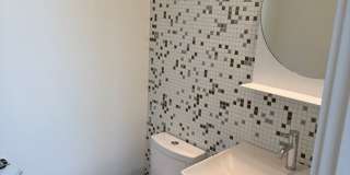 Silver Maple Stunning Gallery 28