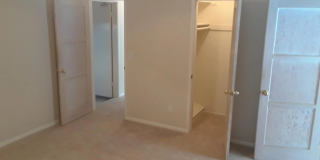 510 Tarento Gallery 42