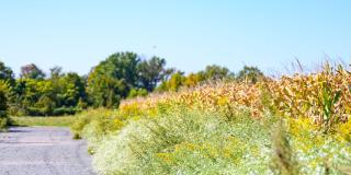 Madison Prickett Preserve Gallery 116