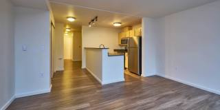 The Chloe Apartments Gallery 16