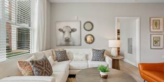 Matthews Square Apartments Gallery 4