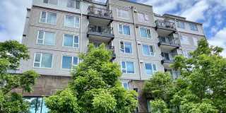 Luminaire Condominiums ~ Lake City Luminaire Condominiums ~ Lake City Gallery 1