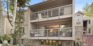 825 E Hopkins Avenue unit: 2N Gallery 22