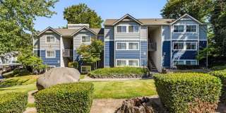 Avana Chestnut Hill Gallery 47