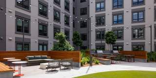 Orlo & Alba Gallery 17