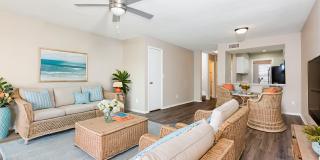 Venice Park Gallery 13