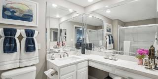 The Saxony Apartments The Saxony Apartments Gallery 12