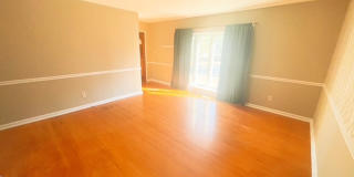 Naturally Bright! Gallery 4