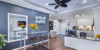 Forest Park and Tower Grove Gallery 2
