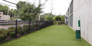 Encore at Forest Park Gallery 39