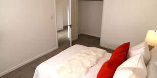 2bed/1bath with a shop Gallery 15