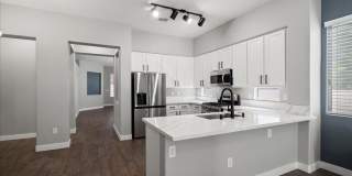 Completely Renovated Modern 4 Bd Single Story in the Trails Gallery 12