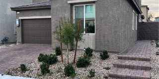 6639 Wandering Palmer Street Gallery 1