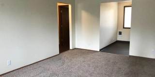Janet Court Gallery 4