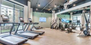 The Met The Met Gallery 41