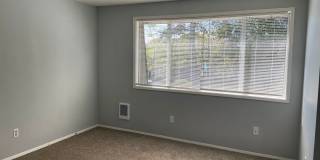 P14616 Gallery 17