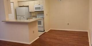 Great Location  Super cute 1 Bedroom unit Gallery 1
