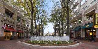 11705-A SUMMERCHASE Circle Gallery 15