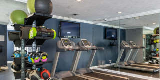 Greenhouse Gallery 5