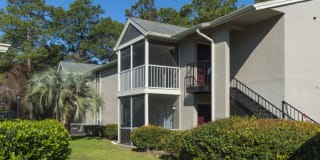 The Lory of Panama City Gallery 4