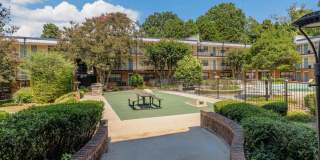 Selwyn Flats Gallery 27