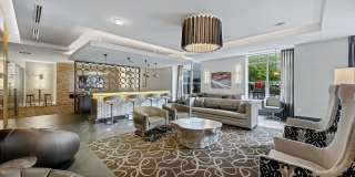 The Washingtons Gallery 16