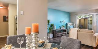 The Grove The Grove Gallery 7