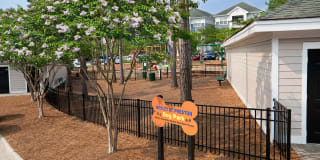 Bexley at Preston Gallery 9