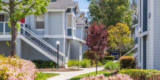 The Highlands Gallery 35