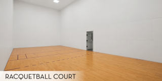 The Saxony Apartments The Saxony Apartments Gallery 65