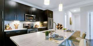 Aster Apartments Gallery 18