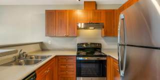 Terrace View Gallery 5