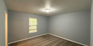 2937 Royal Fern Lane Gallery 16