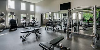 AMLI at Seven Bridges Gallery 36