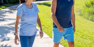 Town Treeline Gallery 16