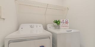 The Maddox Gallery 26