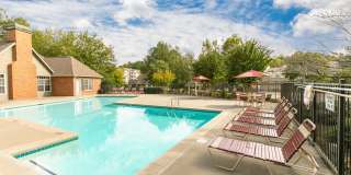 Ellington Woods Apartments Gallery 17