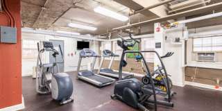 Belvedere Gallery 17