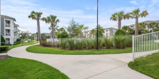 Park Avenue Apartments Gallery 58