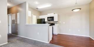 Vista Lake Ned Gallery 38