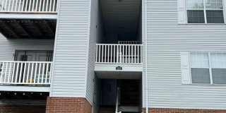 102 Picadilly Lane #203 Gallery 1