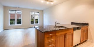 The West End Apartments-Asteria, Villas and Vesta Gallery 71
